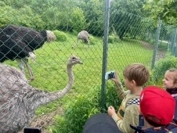 ZOO Na Hrádečku