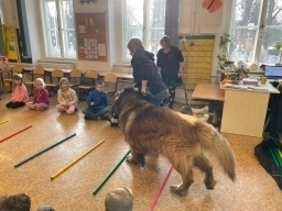 Prevence úrazu psem