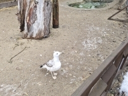 Záchranná stanice Vydra