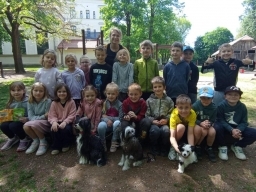 Zvířecí kamarádi